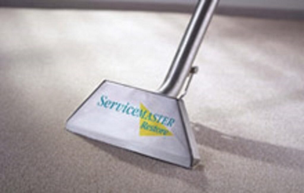 Carpets & Allergies Facts You Need To Know ServiceMaster Cleaning and Restoration Pro